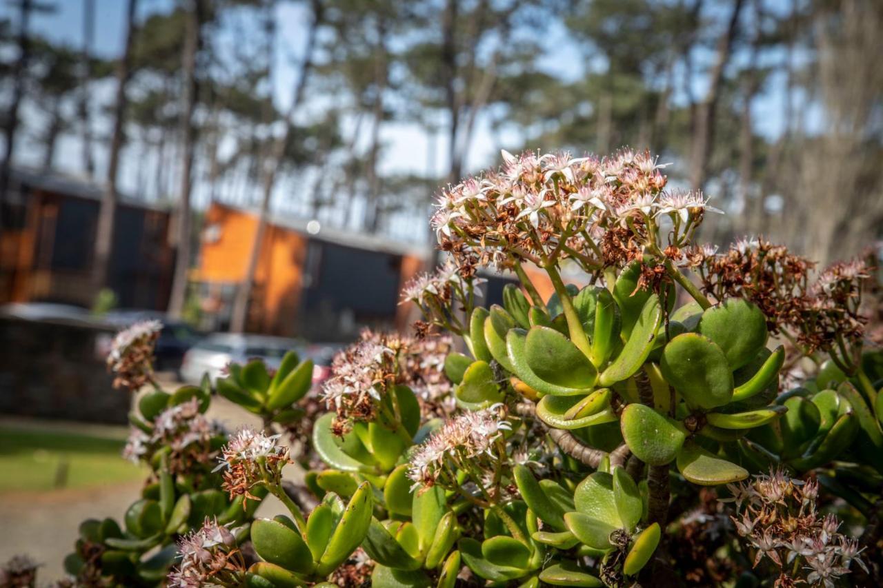 Bungalow B9 - Nature, Beach & River Fão Kültér fotó