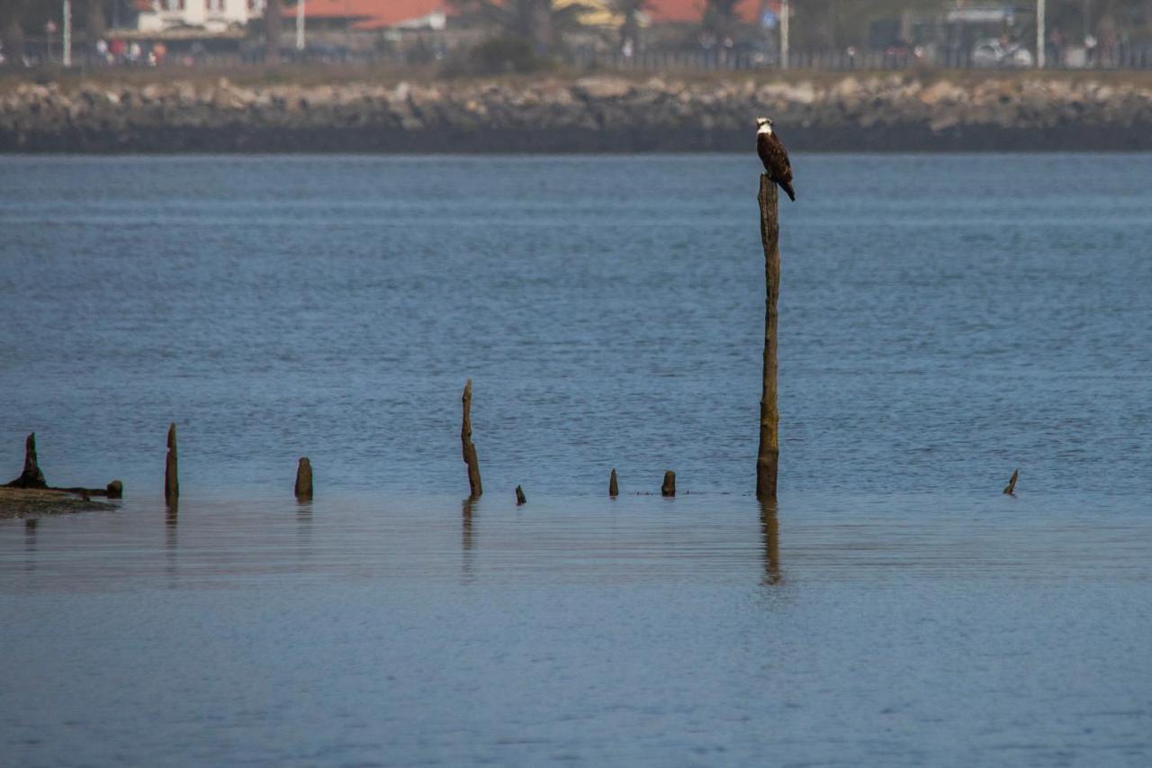Bungalow B9 - Nature, Beach & River Fão Kültér fotó